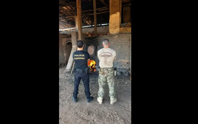 VIROU FUMAÇA - PF incinera 400 kg de drogas em Guajará-Mirim durante ação da Semana Nacional de Políticas sobre Drogas 
